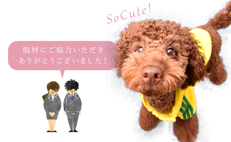 ご協力いただきありがとうございました！