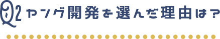 ヤング開発を選んだ理由は？