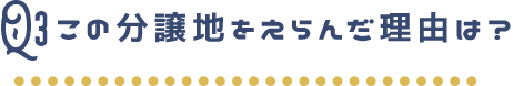 この分譲地を選んだ理由は？