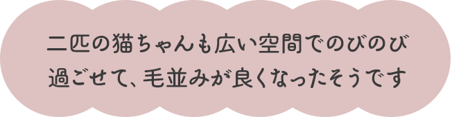 二匹の猫ちゃんも広い空間でのびのび 過ごせて、毛並みが良くなったそうです