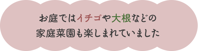 お庭ではイチゴや大根などの家庭菜園も楽しまれていました