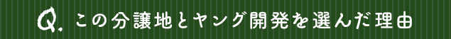 この分譲地とヤング開発を選んだ理由