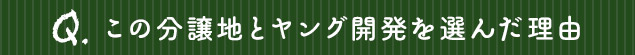 この分譲地とヤング開発を選んだ理由