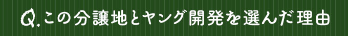 この分譲地とヤング開発を選んだ理由