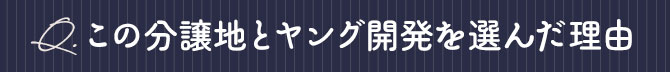 この分譲地とヤング開発を選んだ理由