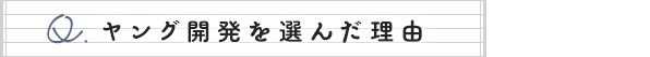 ヤング開発を選んだ理由