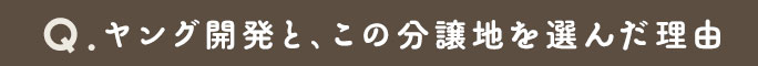 ヤング開発と、この分譲地を選んだ理由