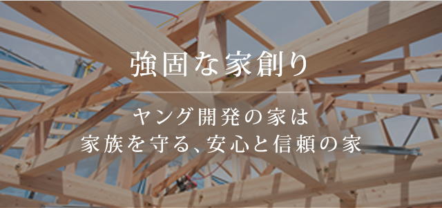 強固な家創り ヤング開発の家は家族を守る、安心と信頼の家