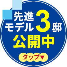 先進モデル公開中