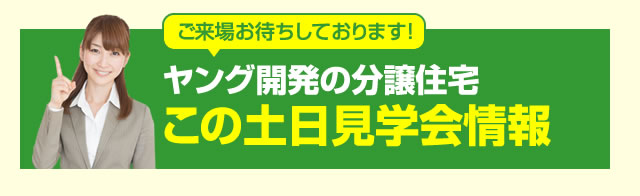ヤング開発の分譲住宅この土日見学会情報