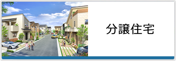 分譲住宅